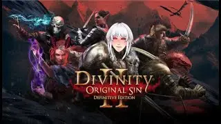 What Is This Ship (Divinity Original Sin 2 Part 10)