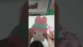 Wallet my Melody #holiday  #minso