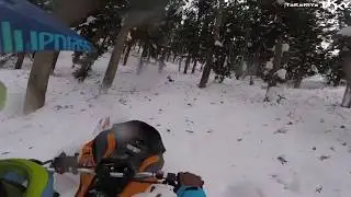 SKI-DOO SUMMIT / Ride in the Forest