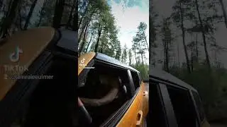 Drive with me through the Christopher Creek Campground in Arizona.