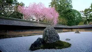 【TVCM】2012年 春「龍安寺」そうだ 京都、行こう。