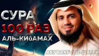 Сура Аль-Кийама 100 РАЗ - Абу Бакр Аш-Шатри