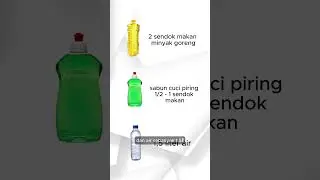 Atasi Hama Kutu Putih cuma Dengan Bahan Dapur
