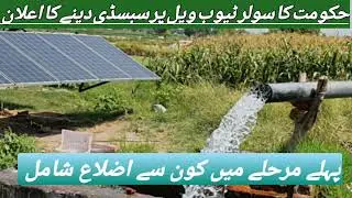 dap subsidy New update subsidy new update subsidy update 2024