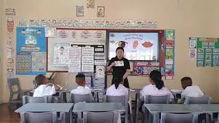 The amazing body Primary 4