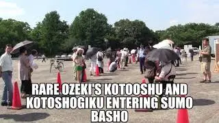 Rare Ozeki's Kotooshu and Kotoshogiku Entering Sumo Basho Japan
