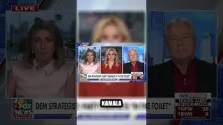 The Democratic Dilemma: Can a New Leader Emerge Without Going Too Far Left?