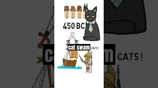 How much do you love cats? #shorts #short #education #history #cat