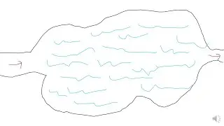 Lacustrine Depositional Systems