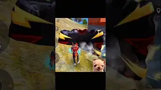 #banku