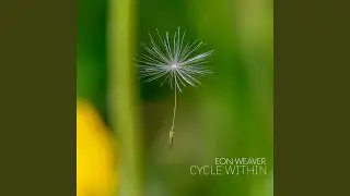 Cycle Within