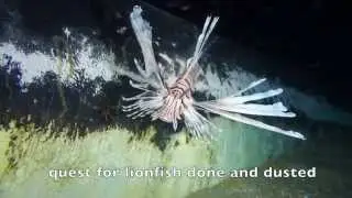 Diving ex-HMAS Brisbane | DiveCareDare & Sunreef | Lionfish Quest with Greg Moravan