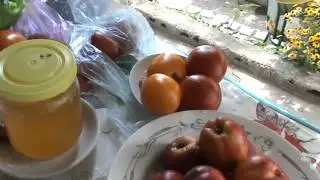 Мисхор 14 год 101