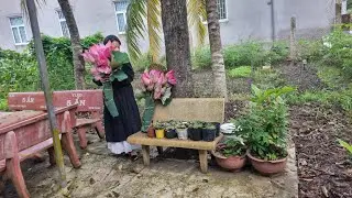 Mùa hè cùng chồng và các con làm những cv ở vườn , thu hoạch và đem nấu ăn những loại mình trồng .