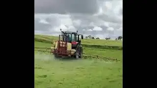 Key tips for weed control on grazing and silage ground