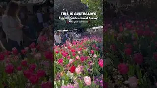 Australia&rsquo;s Most Instagrammable and biggest flower festival is back - Floriade 2025 (Canberra)