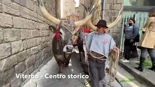 La processione del Santissimo Salvatore