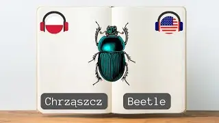 The 7 Most Unpronounceable Words in Polish 😮 Difficult words in Polish - Learning Polish words