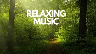 Relaxation and chill music | natural healing | just relax