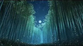 Tranquil Bamboo Forest Views: Relax and Unwind (3 HOUR VIDEO)
