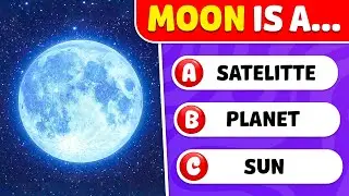Насколько хороши ваши общие знания? Выпуск &laquo;Космос и Вселенная&raquo; 🚀☀️🪐 &mdash; Knowlio