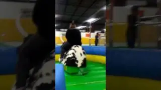 Bull riding lol(3)
