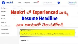How to Write Resume Headline in Naukri for Experience in Telugu | Examples | Best Resume Headlines