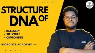 ICSE Class 10 || Structure Of Dna || Discovery, Structure, Components || @BIOROOTSACADEMY