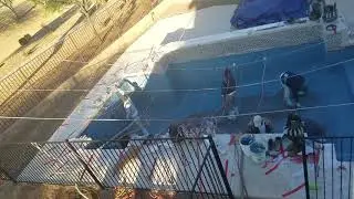 Blue surf Pebble Sheen installation