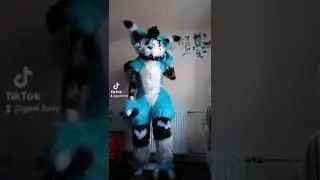 Fursuit, fox furry, fullsuit