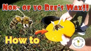 How To Render Or Melt Bees Wax