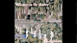 WHISPERS IN THE SHADOW - No Colours