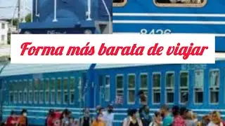 📣 EL TRANSPORTE FERROVIARIO EN 🇨🇺 COMO IR DE OCCIDENTE AL ORIENTE DEL PAÍS LO MÁS BARATO POSIBLE 👀✅️
