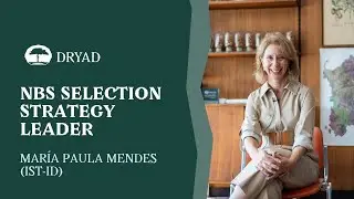 Nature-based solutions Selection Strategy&ndash; Interview to Mar&iacute;a Paula Mendes (IST-ID)