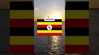 What is the Largest Animal in UGANDA #uganda #country #animals #wildlife #nature #geography #flag