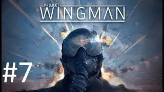 Project Wingman  #7
