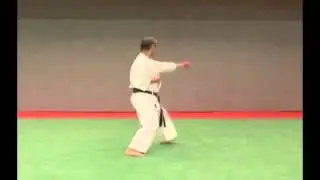 Wado Kata Pinan Nidan - Hiroji Fukazawa Sensei
