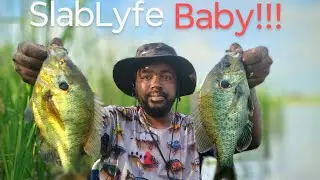 ACTION PACKED BIG BLUEGILL & MONSTER SHELLCRACKER FISHING‼️ #1hour #action #monster #fishing #fyp