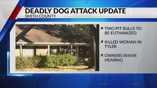 23-year-old dog sitter fatally attacked, leading to euthanization of involved dogs