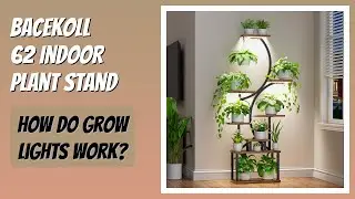 REVIEW (2026): BACEKOLL 62 Indoor Plant Stand. Features
