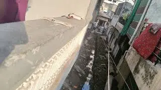 Gali bani nala thanks to indore nagar nigam 🤨 #vlog #funny 