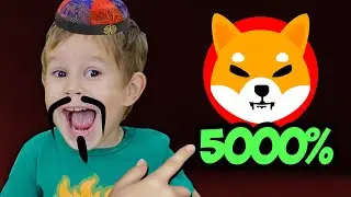 Люди, которых называют крипто-экспертами, похожи на