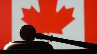 The Best Law Schools In Canada 2024