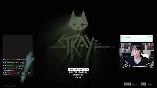 No estamos solos...Creo - Stray pt.2