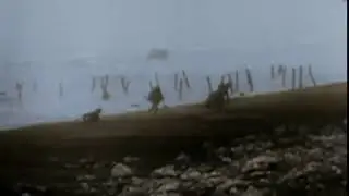 D-DAY 75 (short)