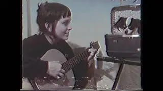 chlorinefields - cardboard cutout