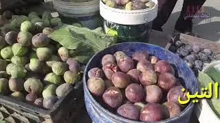 التين انتاج محلي محافظةالبيضاء