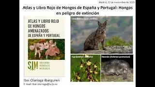 Protegiendo a los olvidados. Atlas y Libro Rojo de Hongos Amenazados