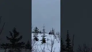 TIMBERSLED TIME! 🤘🏻