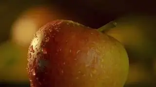 Welcome to Cornish Orchards